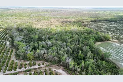 Gillette Road, Zolfo Springs, FL 33890 - Photo 42