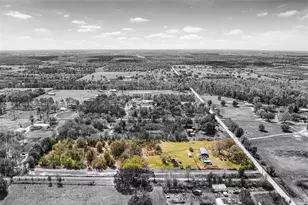 15055 Brahma Rd, Polk City, FL 33868 - Photo 32