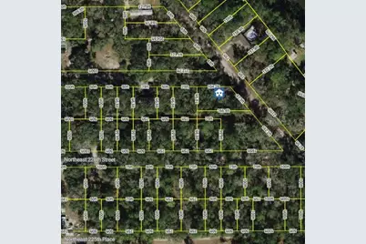 0 NE 227th Street, Fort Mc Coy, FL 32134 - Photo 1