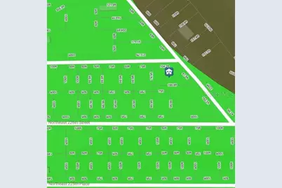 0 NE 227th Street, Fort Mc Coy, FL 32134 - Photo 2