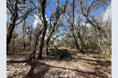 2540 Tiger Creek Trail, Lake Wales, FL 33898 - Photo 10