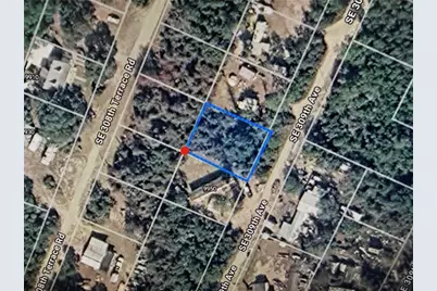 0 SE 309th Ave, Altoona, FL 32702 - Photo 2