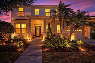 5248 Brighton Shore Dr, Apollo Beach, FL 33572 - Photo 2