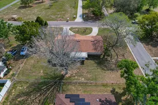 425 S Ramona Ave, Lake Alfred, FL 33850 - Photo 44