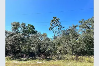 Woodstork Way, Frostproof, FL 33843 - Photo 14