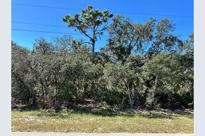 Woodstork Way, Frostproof, FL 33843 - Photo 8