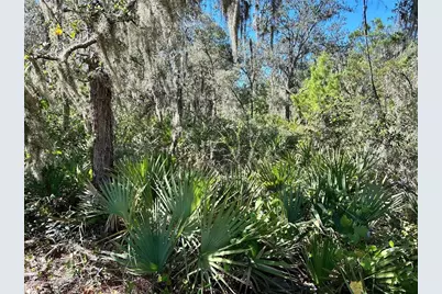 Woodstork Way, Frostproof, FL 33843 - Photo 10