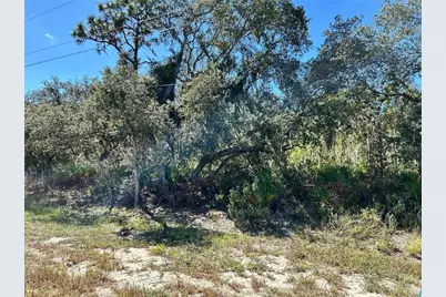 Woodstork Way, Frostproof, FL 33843 - Photo 1