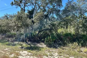 Woodstork Way, Frostproof, FL 33843 - Photo 1