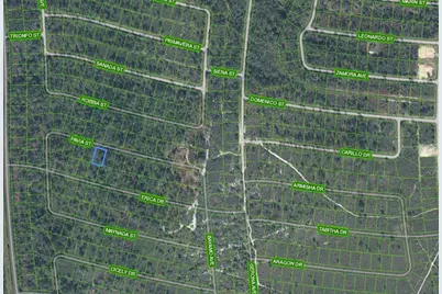 8705 Pavia Street, Sebring, FL 33872 - Photo 2