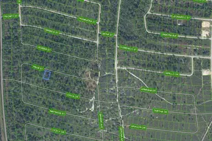 8705 Pavia St, Sebring, FL 33872 - Photo 2