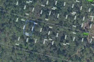 8705 Pavia St, Sebring, FL 33872 - Photo 1