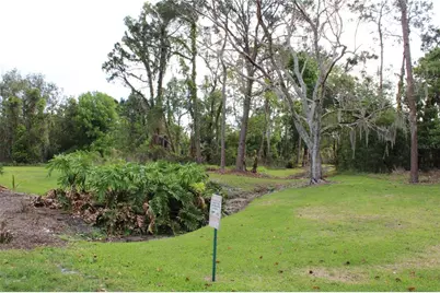 0 Chinaberry Drive, Winter Haven, FL 33881 - Photo 4