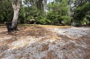 107 Eliam Rd, Melrose, FL 32666 - Photo 2