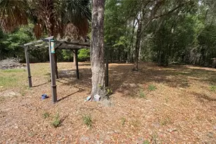 107 Eliam Rd, Melrose, FL 32666 - Photo 40