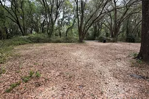 7526 NE 221st St, Melrose, FL 32666 - Photo 8