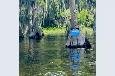 7526 NE 221st Street, Melrose, FL 32666 - Photo 68