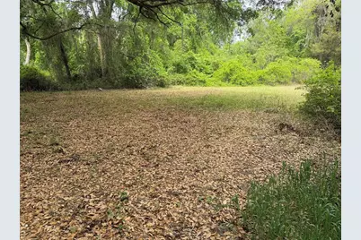 7526 NE 221st Street, Melrose, FL 32666 - Photo 4