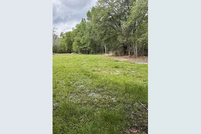 10033 SW County Road 225, Starke, FL 32091 - Photo 10