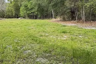 10033 SW County Rd 225, Starke, FL 32091 - Photo 10