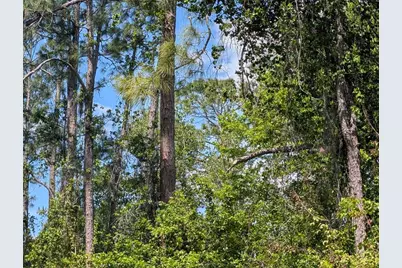 204 Allamanda Drive, Indian Lake Estates, FL 33855 - Photo 8