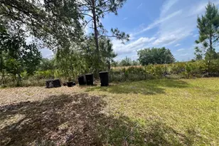 10780 State Road 60 E, Lake Wales, FL 33898 - Photo 62