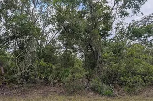 1009 Azalea Dr, Indian Lake Estates, FL 33855 - Photo 1
