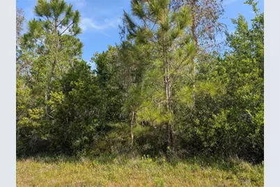 704 Orchid Drive, Indian Lake Estates, FL 33855 - Photo 1