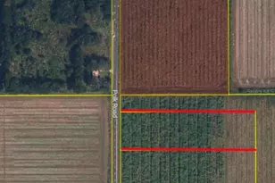 2524 Polk Rd, Bowling Green, FL 33834 - Photo 1