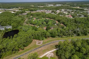 8671 Hunters Key Cir, Tampa, FL 33647 - Photo 22