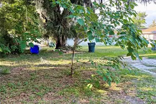 1203 N Brunnell Pkwy, Lakeland, FL 33805 - Photo 8