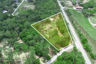 3437 Mar Lisa Cove Rd, Lake Wales, FL 33898 - Photo 34