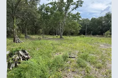 9876 Sr 60 E, Lake Wales, FL 33898 - Photo 4