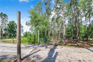 7152 Fussell Rd, Polk City, FL 33868 - Photo 54
