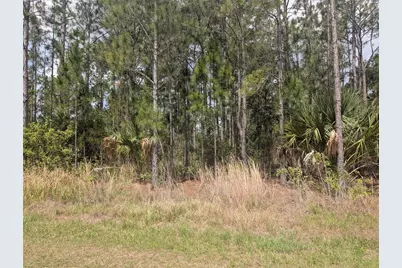 25 Amaryllis Drive, Indian Lake Estates, FL 33855 - Photo 12