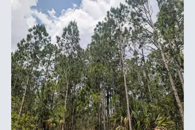 25 Amaryllis Drive, Indian Lake Estates, FL 33855 - Photo 14