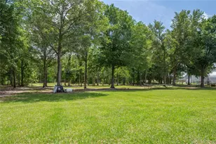 15079 Brahma Rd, Polk City, FL 33868 - Photo 14