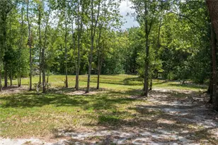 15079 Brahma Rd, Polk City, FL 33868 - Photo 34