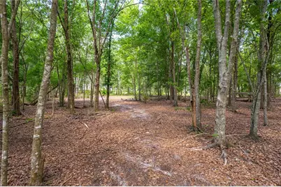 15079 Brahma Road, Polk City, FL 33868 - Photo 38