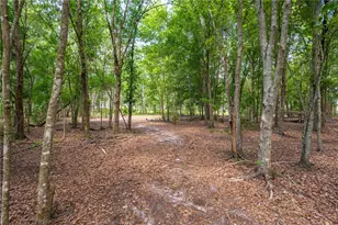 15079 Brahma Rd, Polk City, FL 33868 - Photo 38
