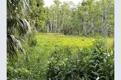 Lake Marion Road W, Haines City, FL 33844 - Photo 12