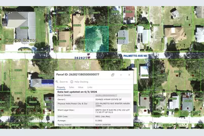 223 Palmetto Avenue NE, Winter Haven, FL 33881 - Photo 8