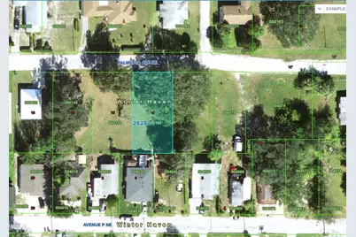 223 Palmetto Avenue NE, Winter Haven, FL 33881 - Photo 6