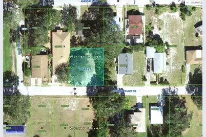 223 Palmetto Avenue NE, Winter Haven, FL 33881 - Photo 4