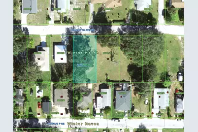223 Palmetto Avenue NE, Winter Haven, FL 33881 - Photo 8