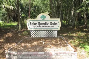 92 Rosalie Oaks Blvd, Lake Wales, FL 33898 - Photo 34