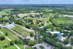 3401 N Forbes Rd, Plant City, FL 33565 - Photo 60