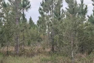 221 Tropicana Dr, Indian Lake Estates, FL 33855 - Photo 1