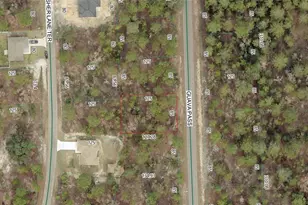 Guava Pass Lot 10, Ocklawaha, FL 32179 - Photo 1