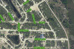 462 Jack Weisser Blvd, Lake Placid, FL 33852 - Photo 1